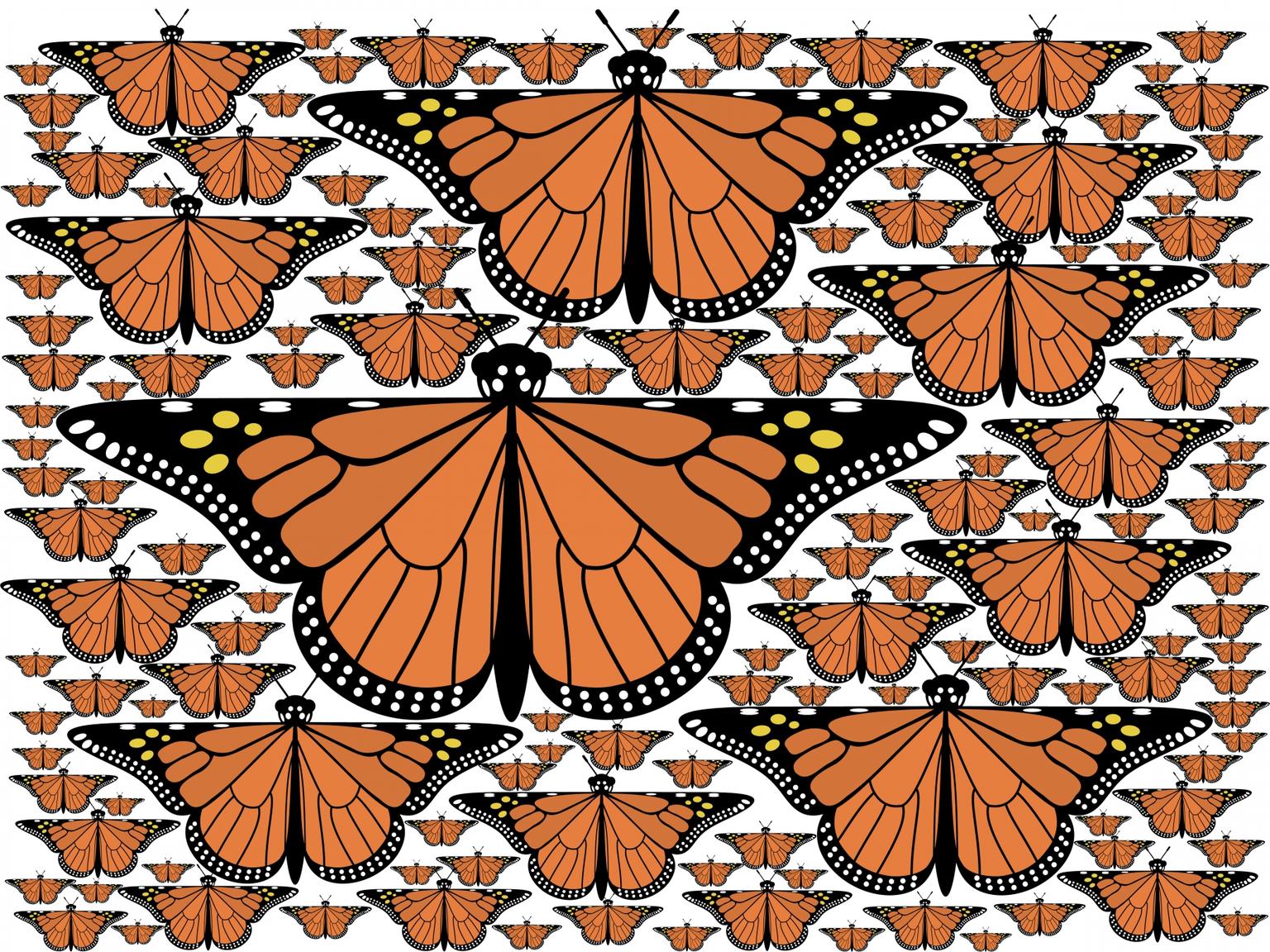 Image for entry 'Fractal Monarchs'