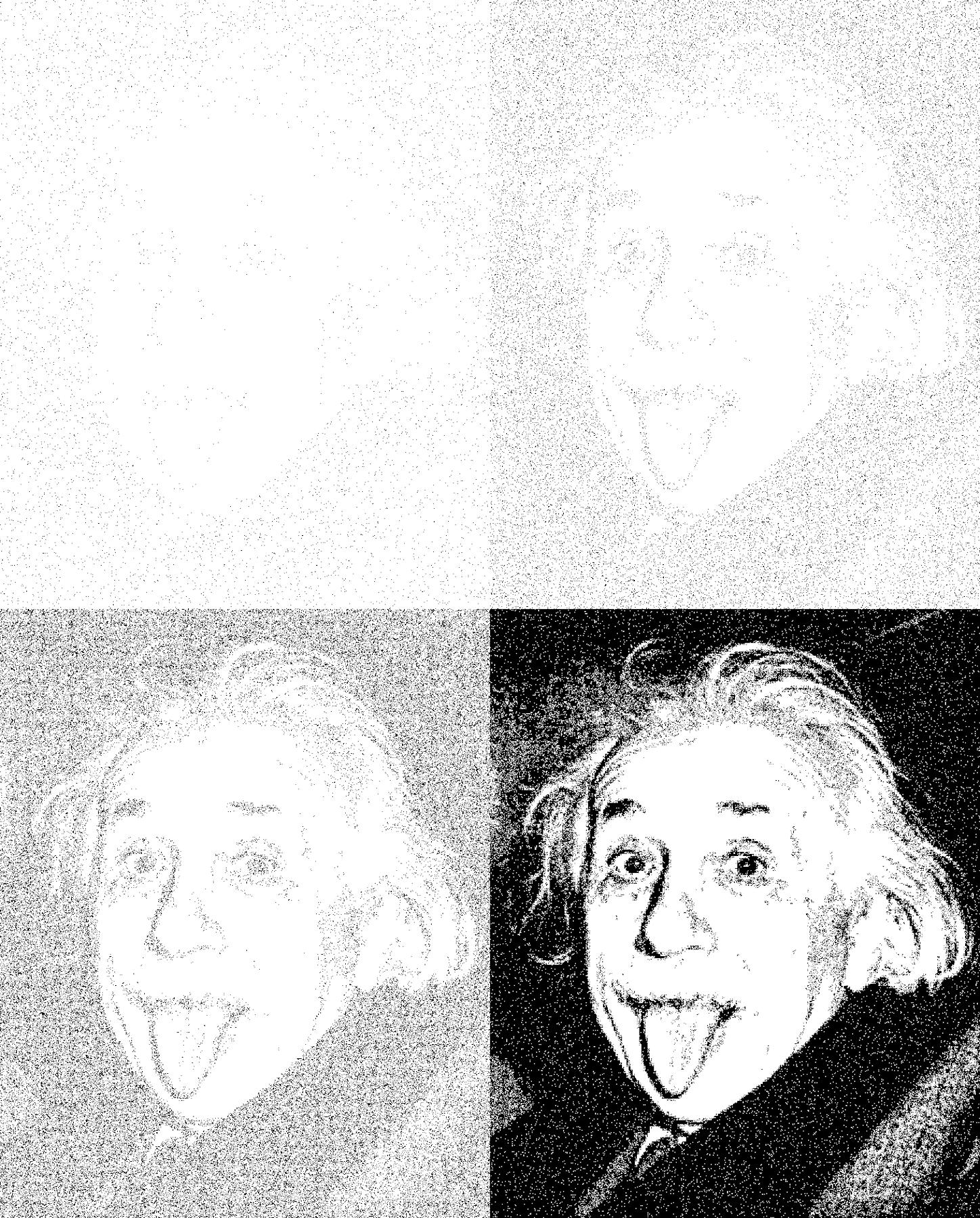 Image for entry 'Schrödinger's Einstein'