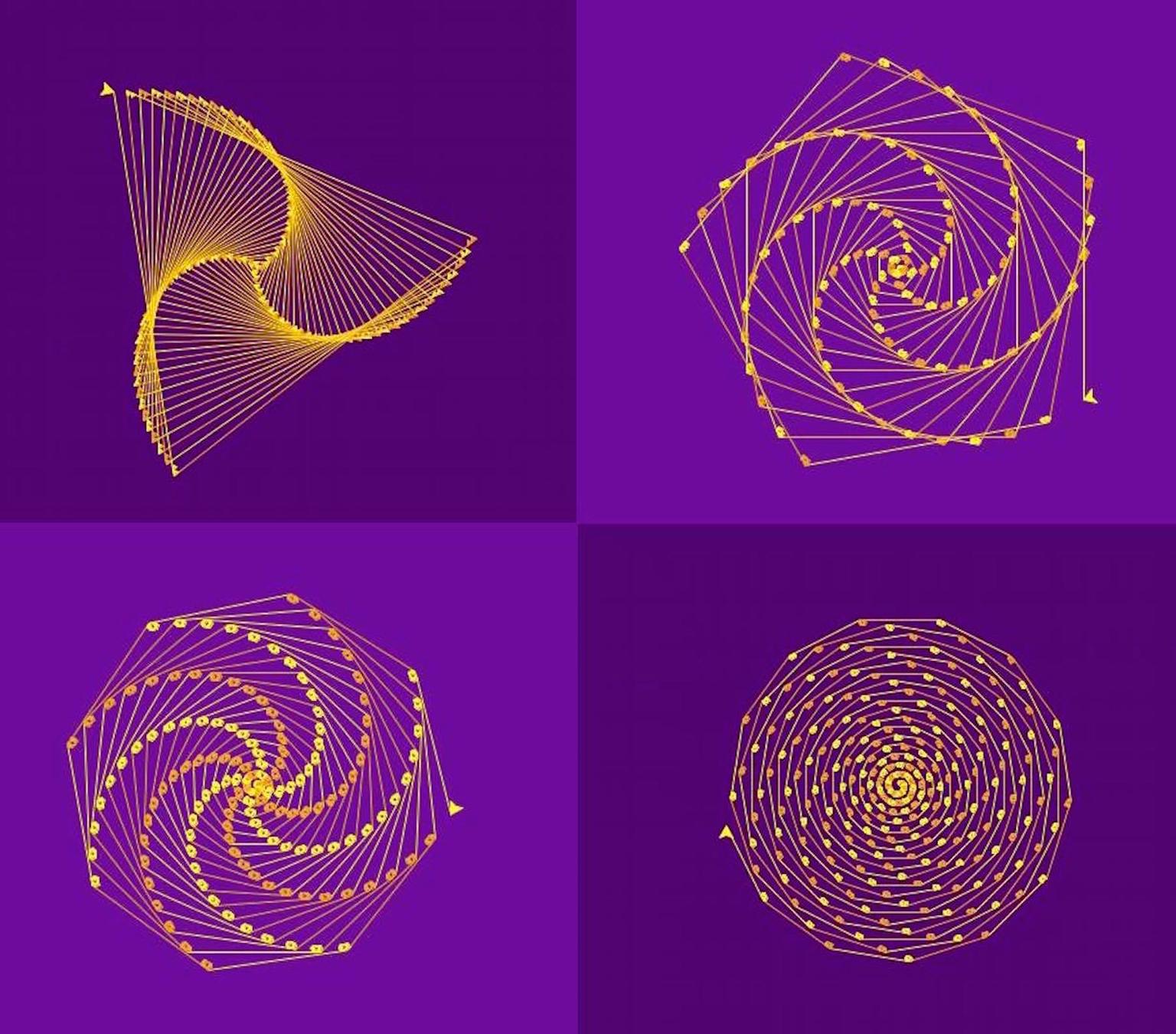 Image for entry 'Polygons with Fibonacci Spirals'