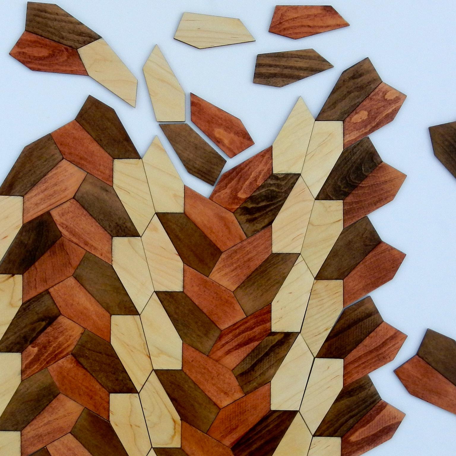 Image for entry 'Pentagon 15 Wood Puzzle'