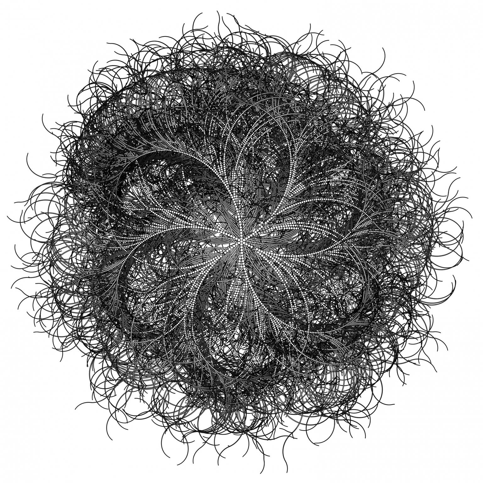 Image for entry 'Infinite Bloom, a Recursive Flower'
