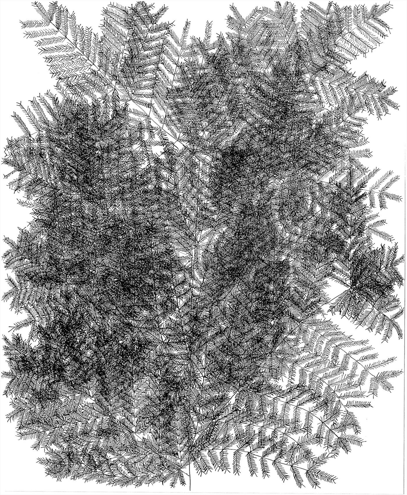 Image for entry 'Fibonacci Tree Vertical 34'
