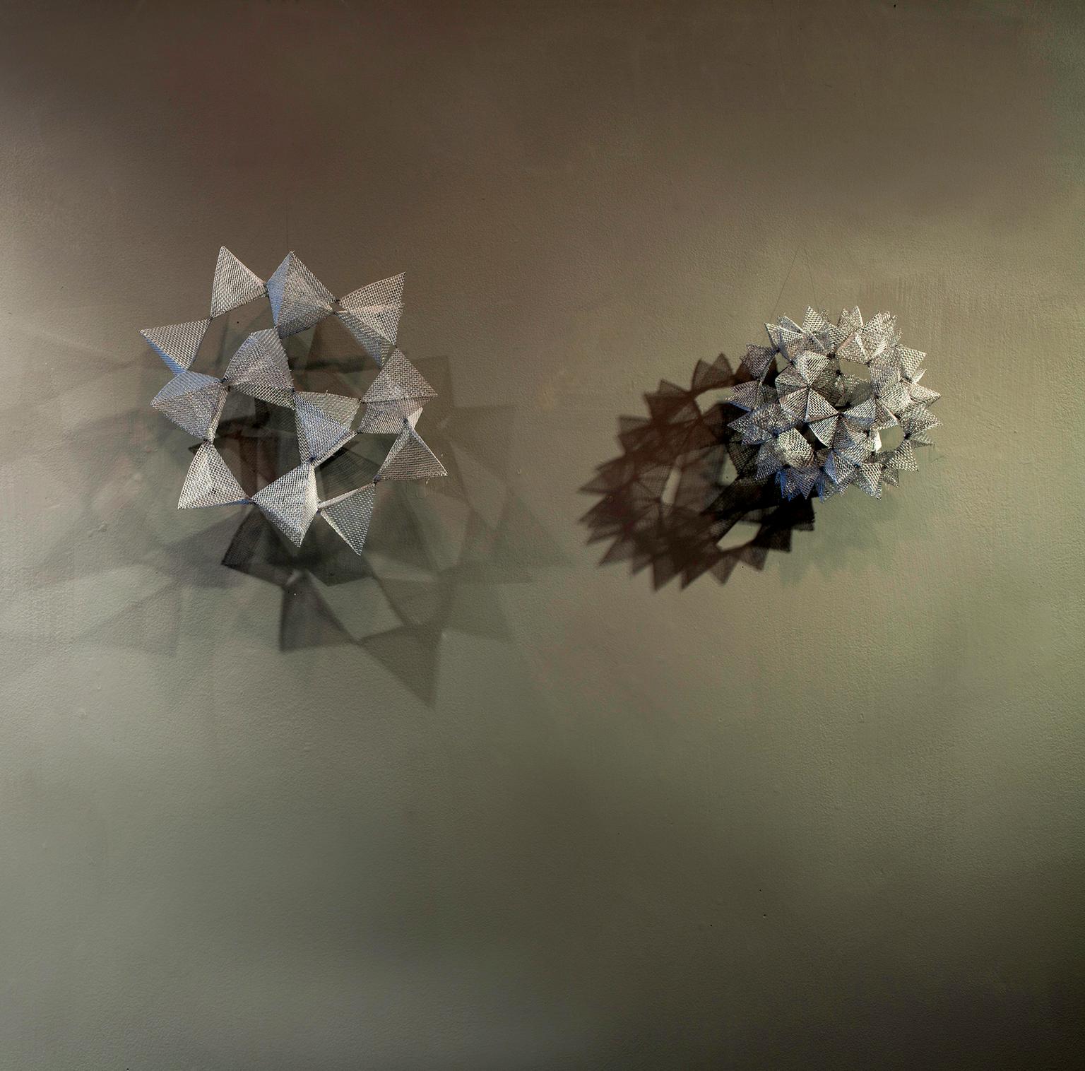 Image for entry 'Two Stellated Polyhedra'