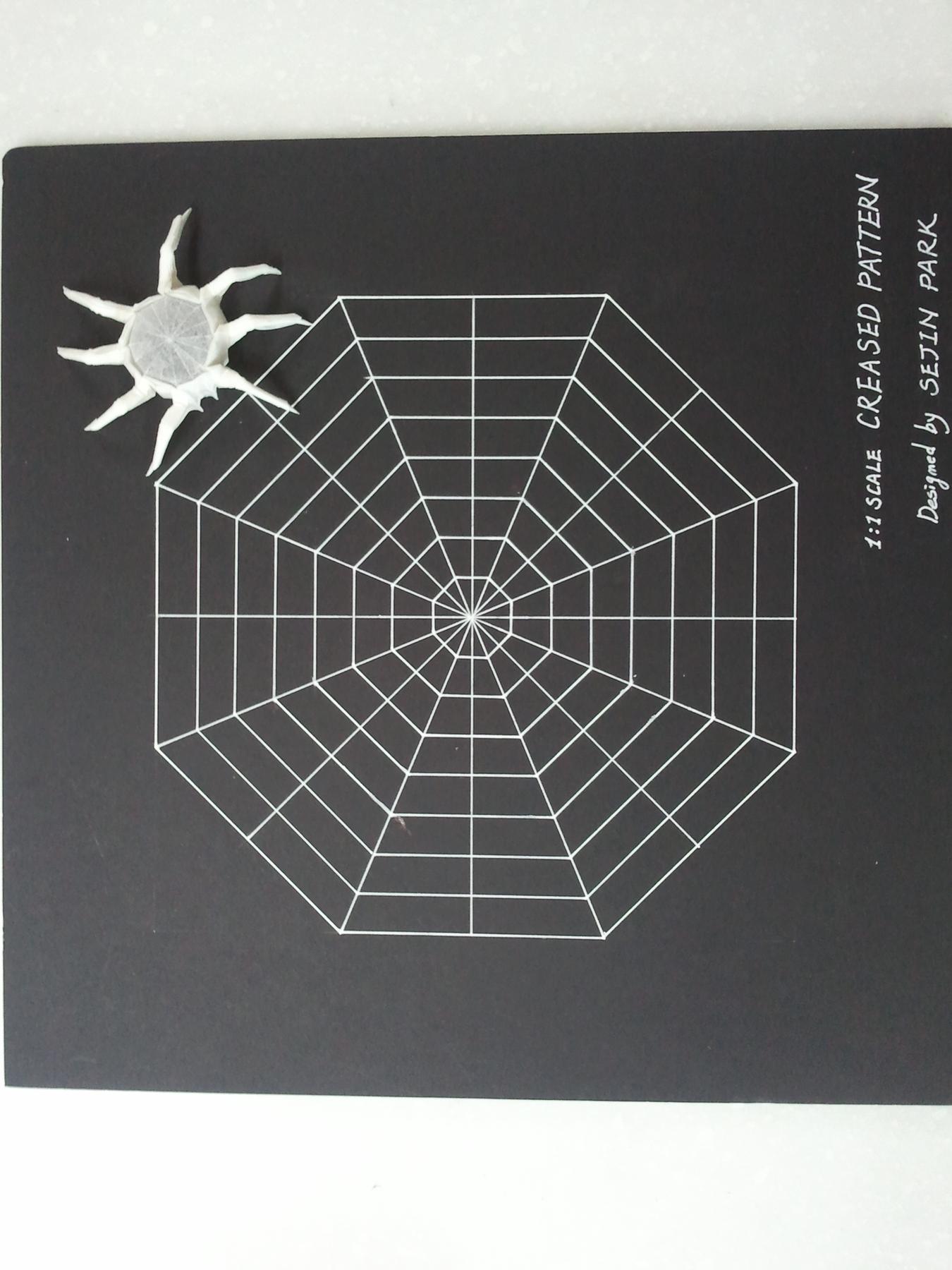 Image for entry 'spider on the creased web'