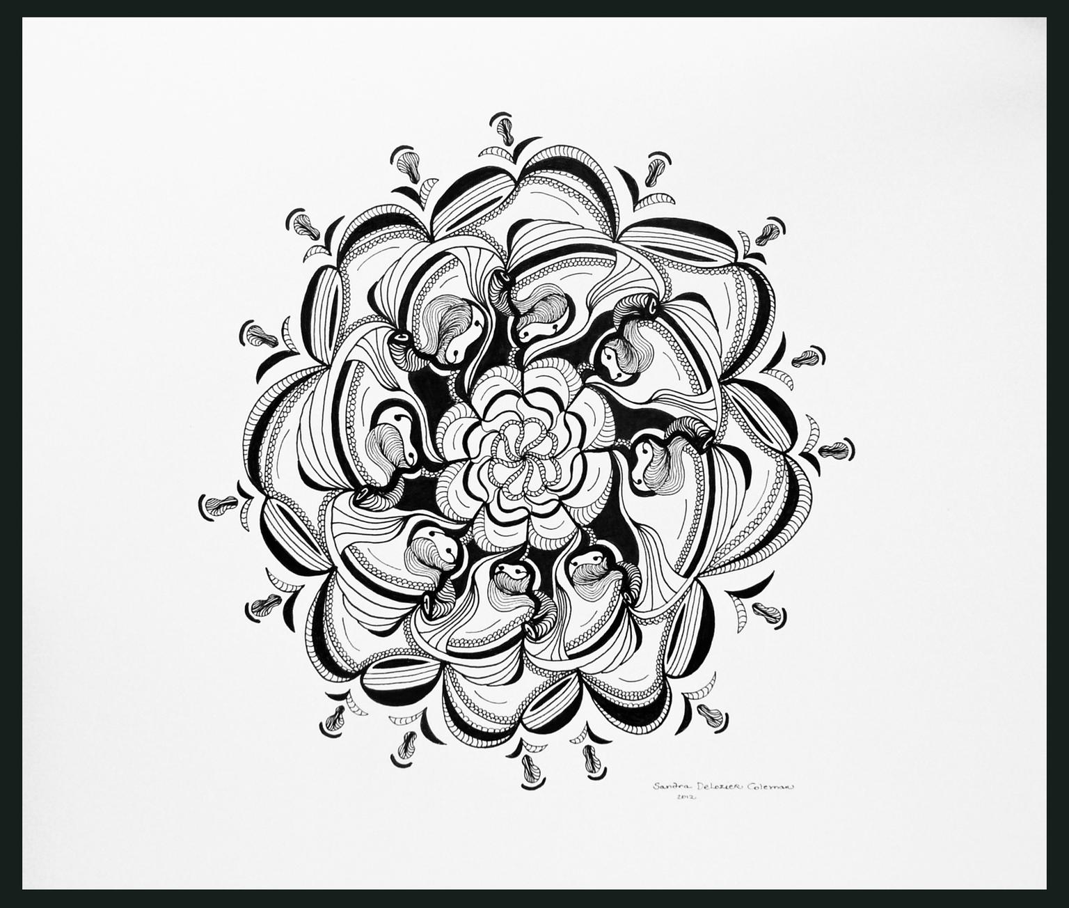 Image for entry 'Swirling Symmetry'