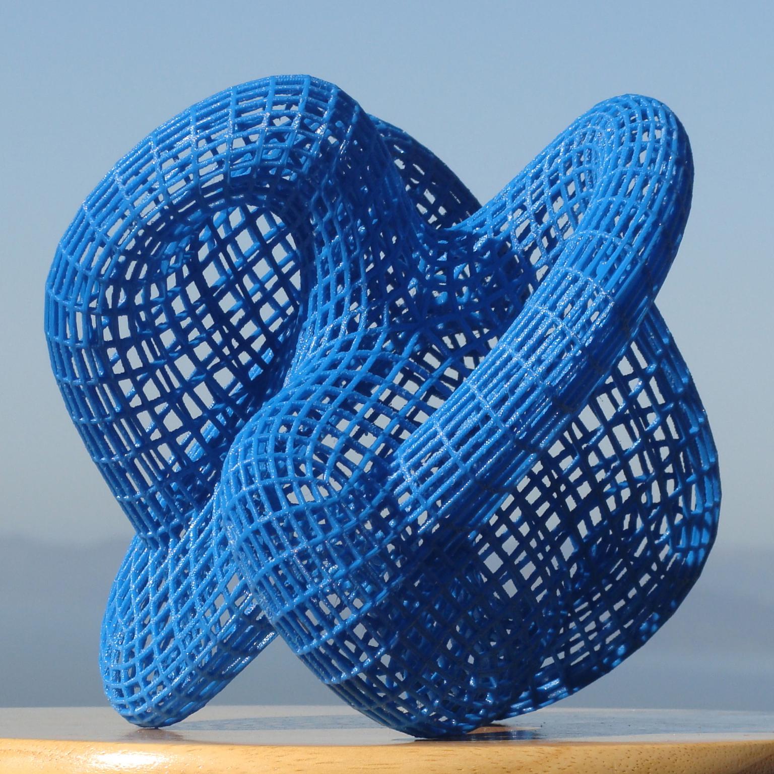 Image for entry 'Double Boy Klein Bottle'