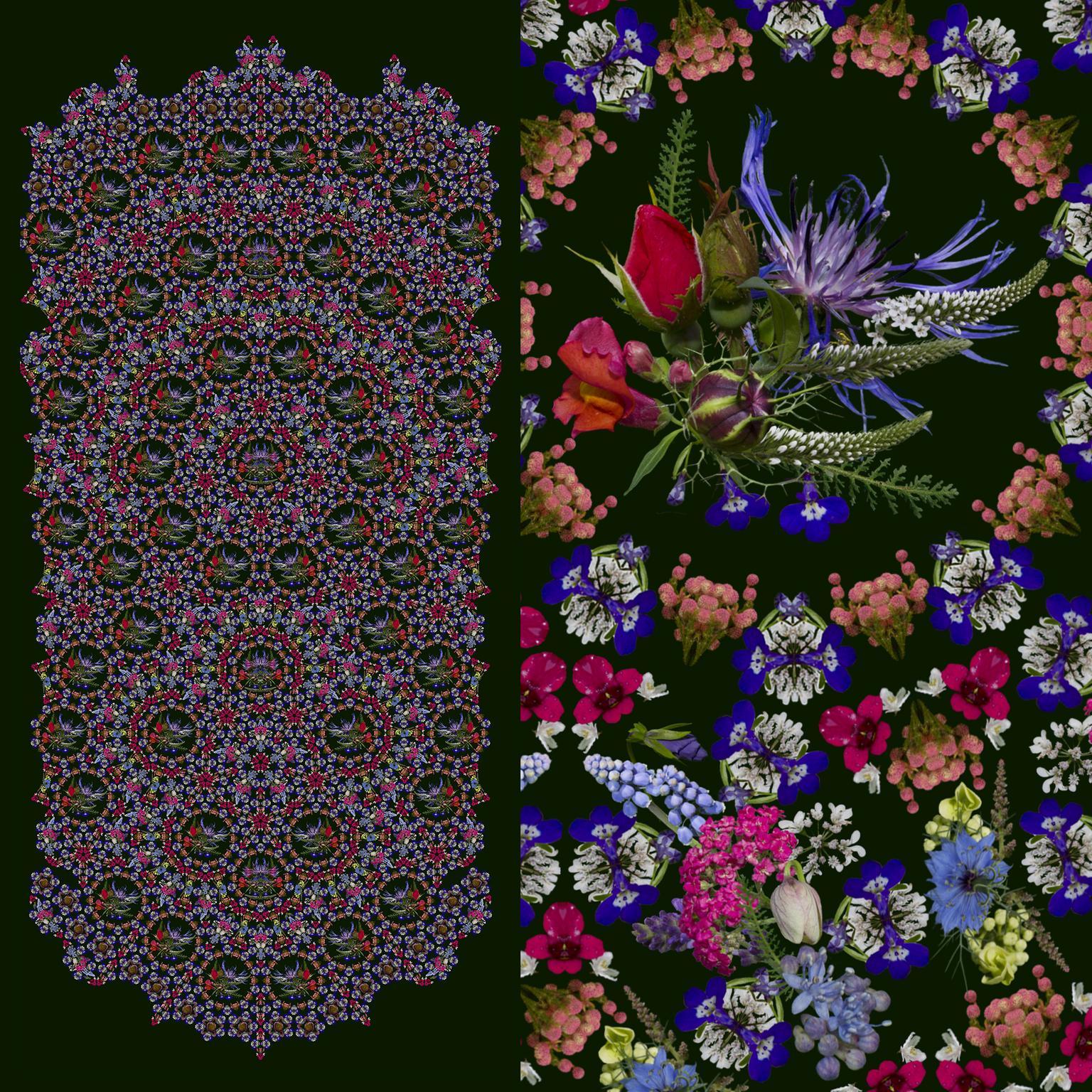 Image for entry 'Lobelia, Bachelor Buttons, Roses, Yarrow and Grape Hyacinth'