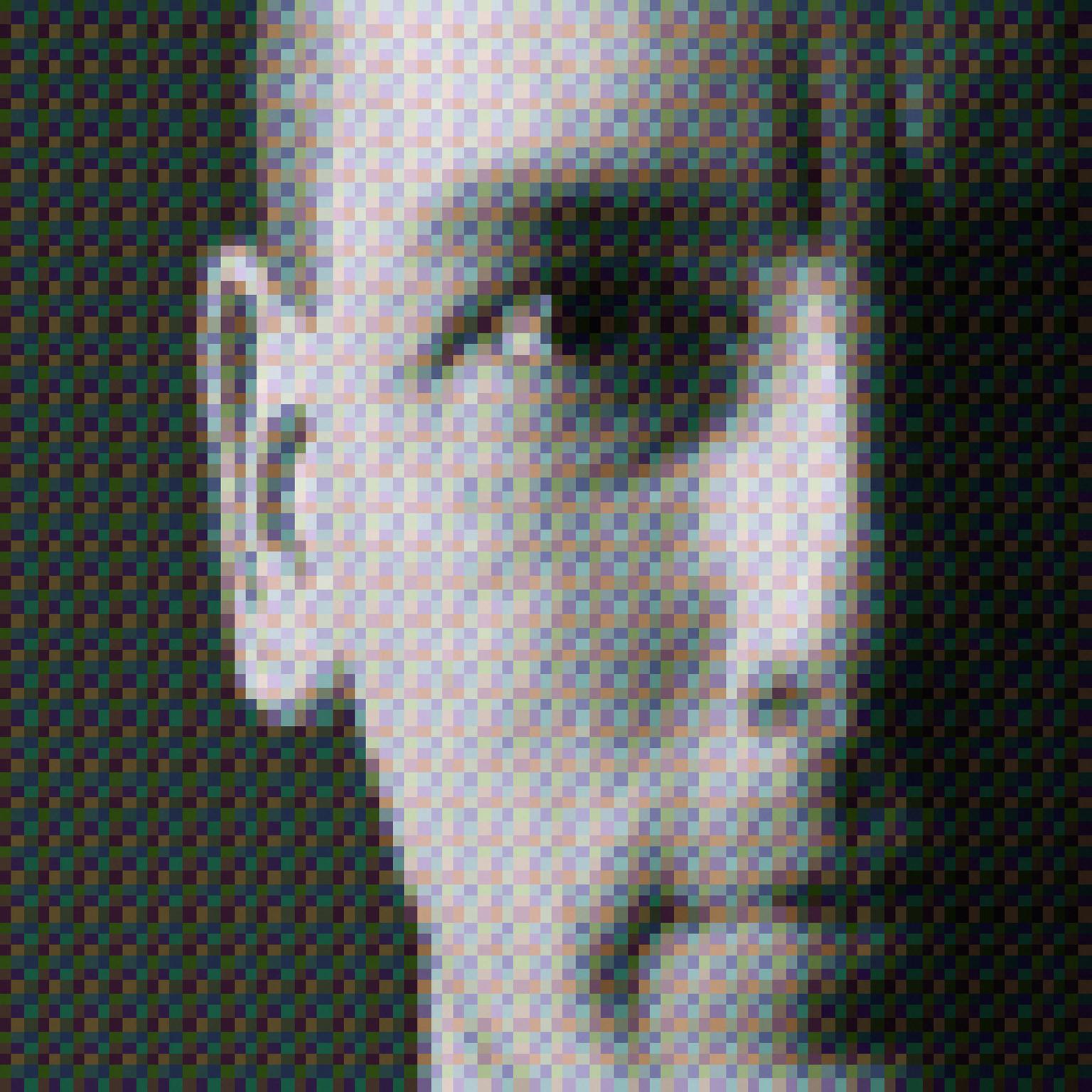 Image for entry 'Portrait of Sándor'