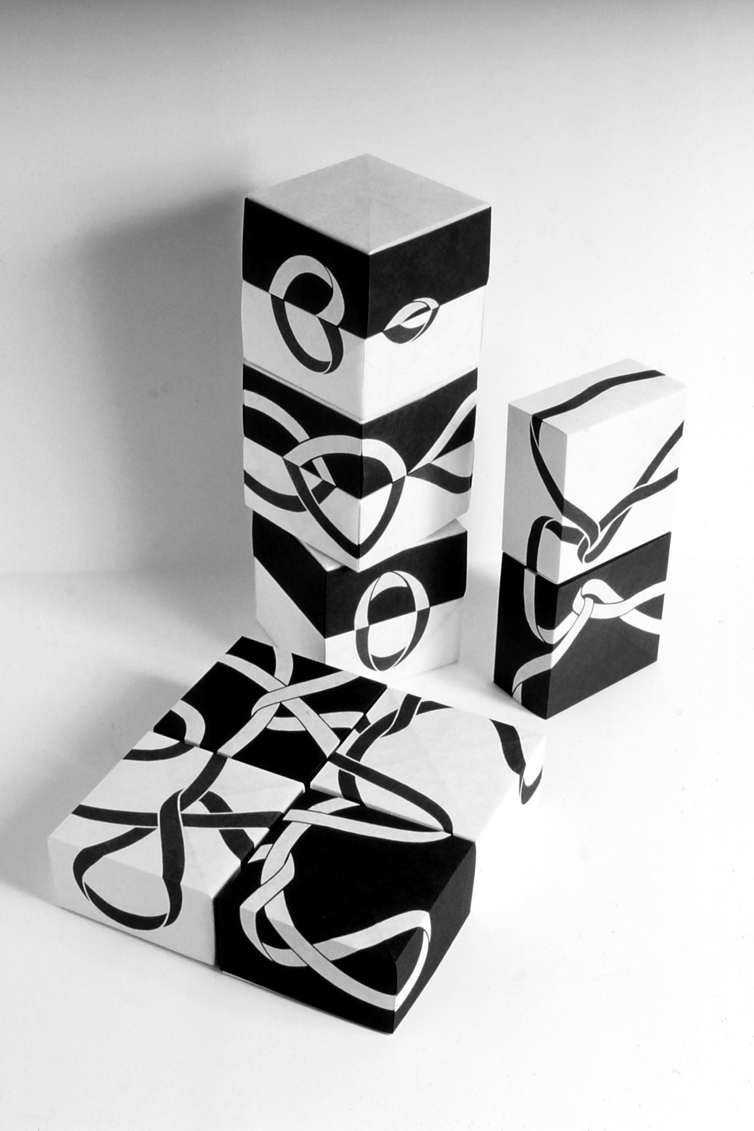 Image for entry 'Boxes - a work in two states, six pairs'