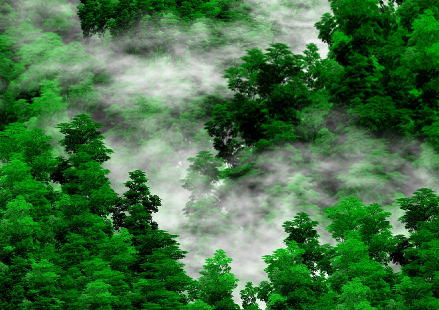 Image for entry 'Rising Clouds over Woods'