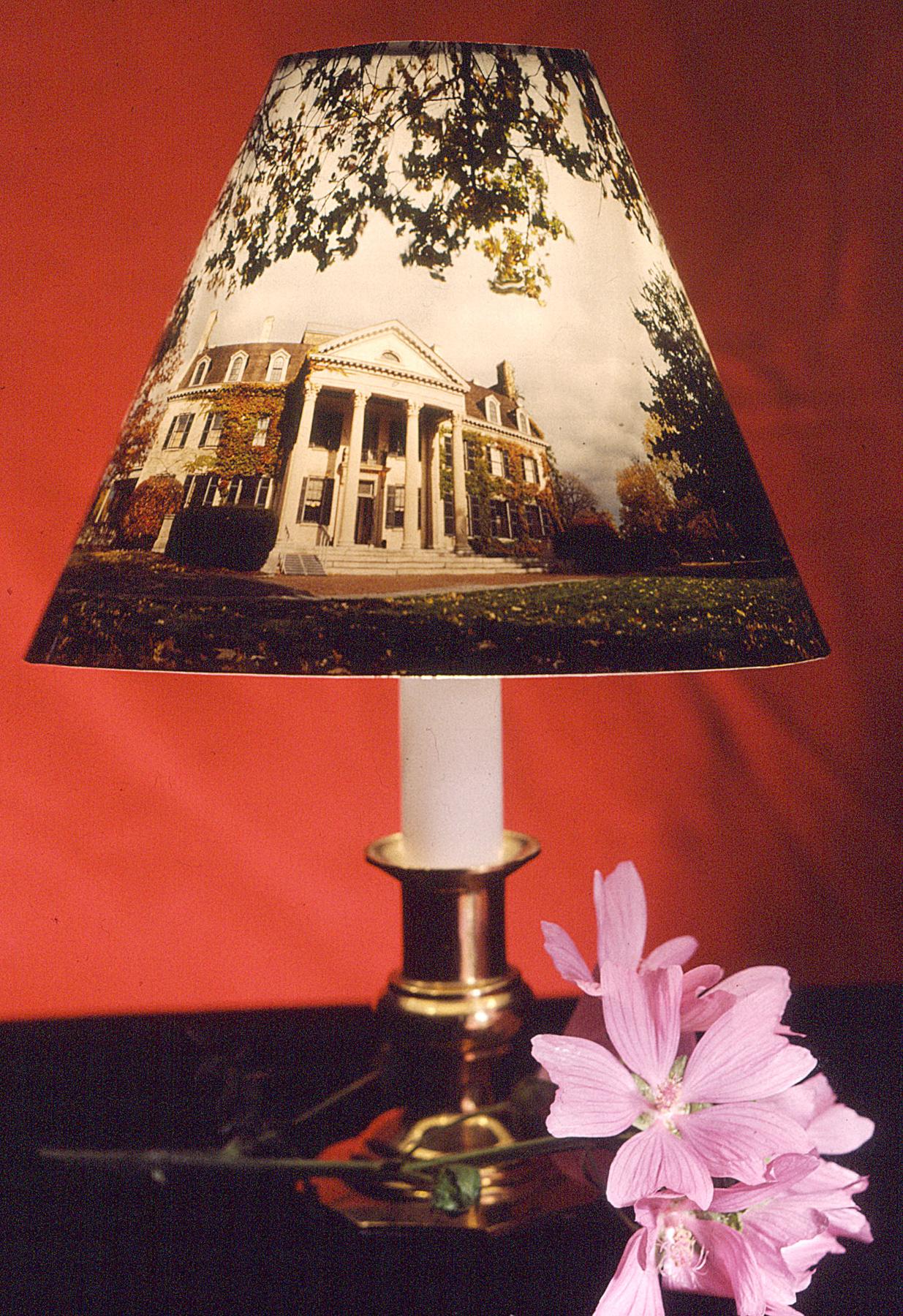 Image for entry 'Conical lampshade based on a 360 degree view of the George Eatman House grounds'