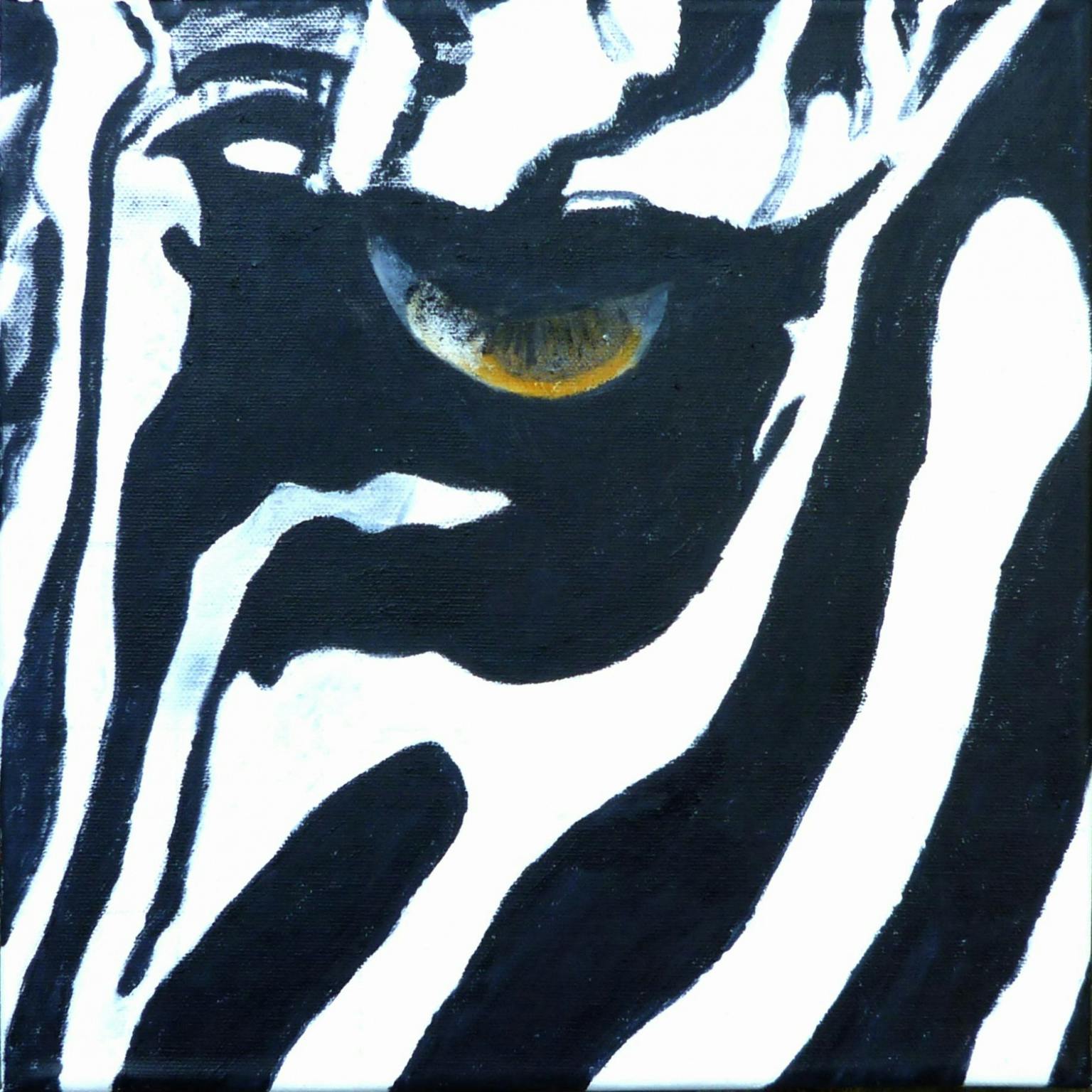 Image for entry 'An Eye into Zebra Geometry'
