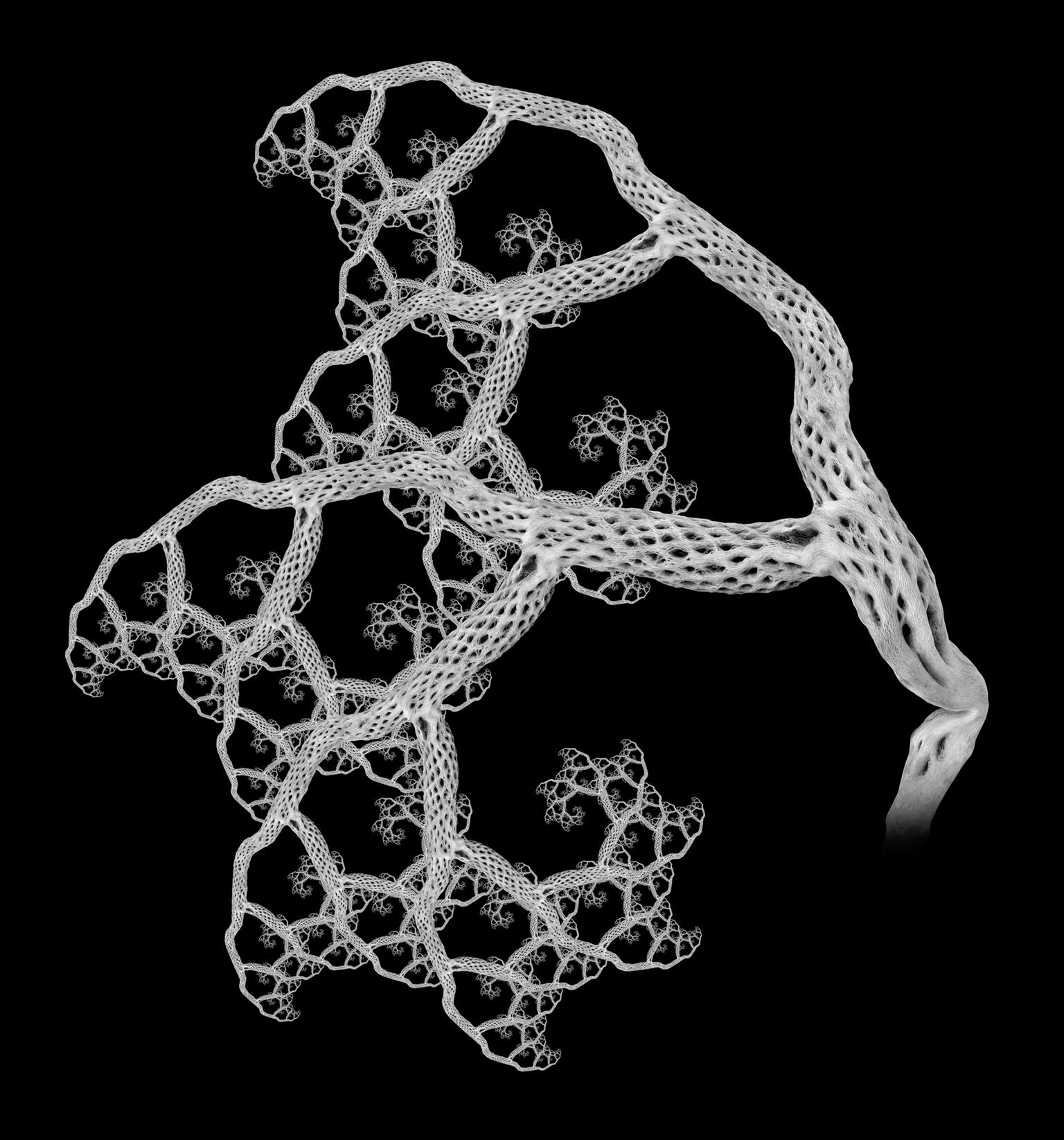 Image for entry 'Fractal Tree No. 7'