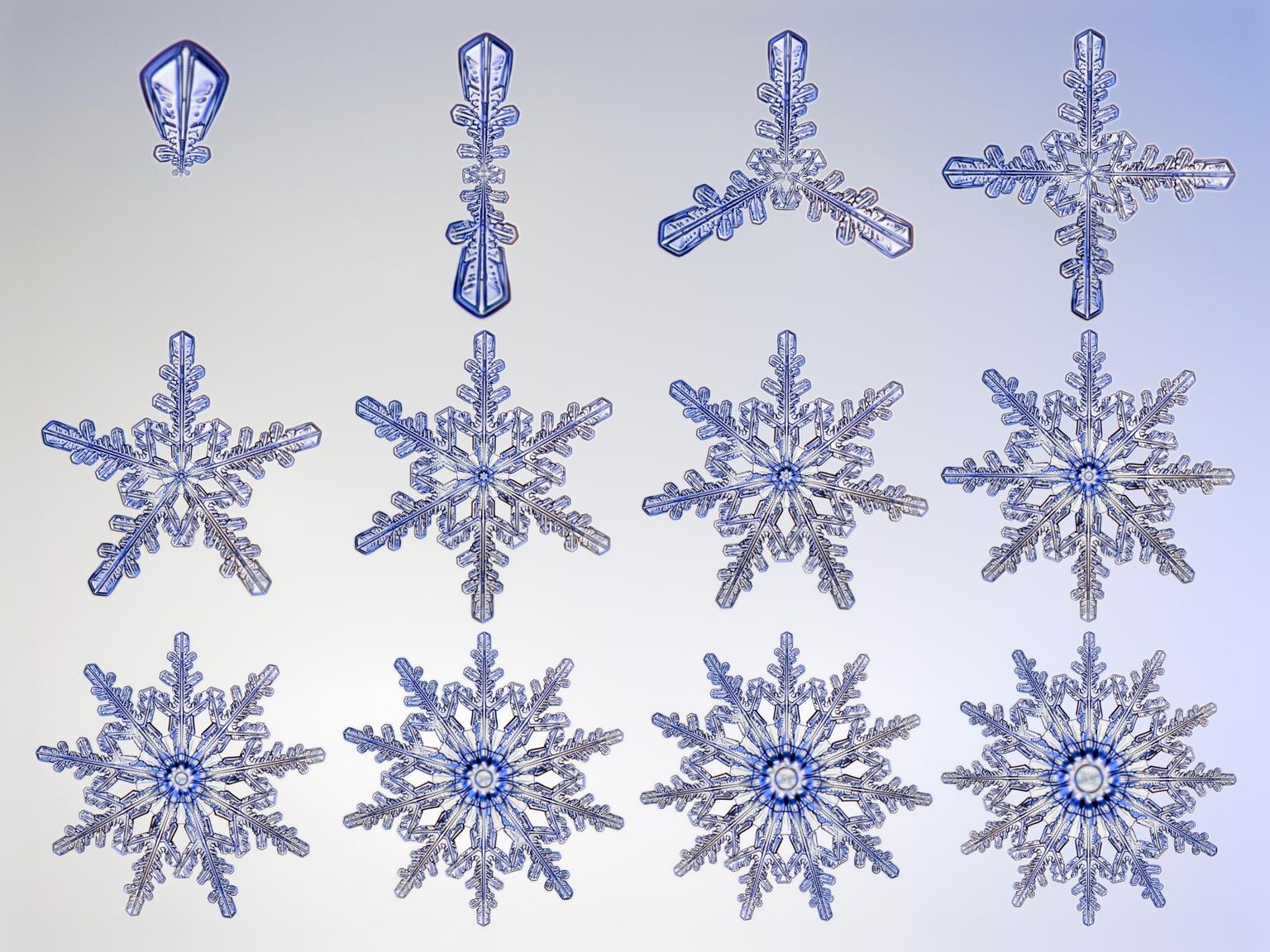Image for entry 'Conformal Snowflakes'