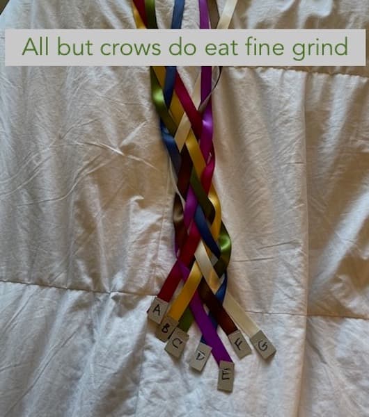 Image for entry 'Seven Strands of Alphabetical Braided Crows'