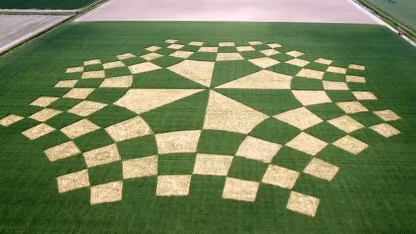 Image for entry 'Two Conformal Chessboards: a Tribute to M.C. Escher in the Crop Fields of Fryslân'