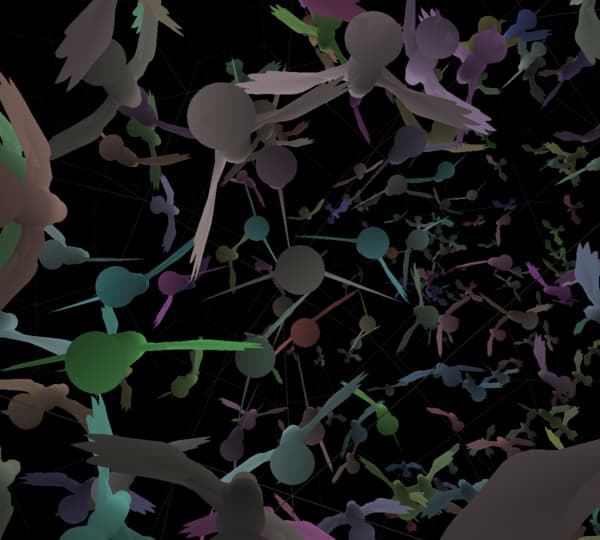 Image for entry 'Birds in Hyperbolic Space'