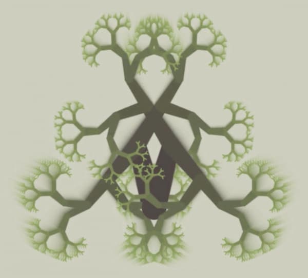 Image for entry 'Tree Yoga'