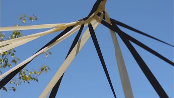 Image for entry 'Dancing braid into being: Exploring mathematics through dance'