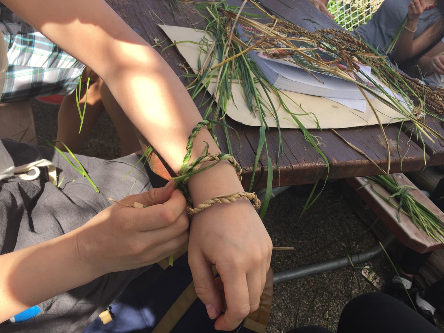 Image for submission 'Susan Gerofsky'