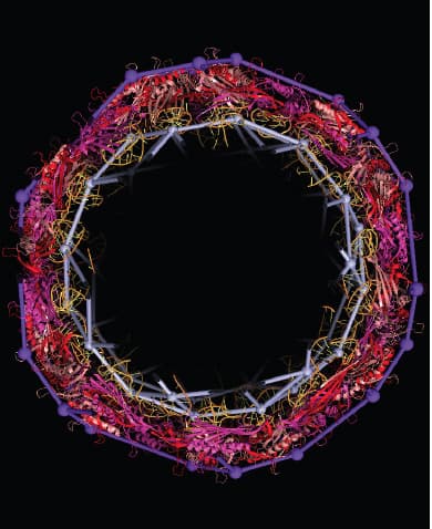 Image for submission 'Adam Arstall, Briony Thomas, Motiejus Valiunas and Emilio Zappa'