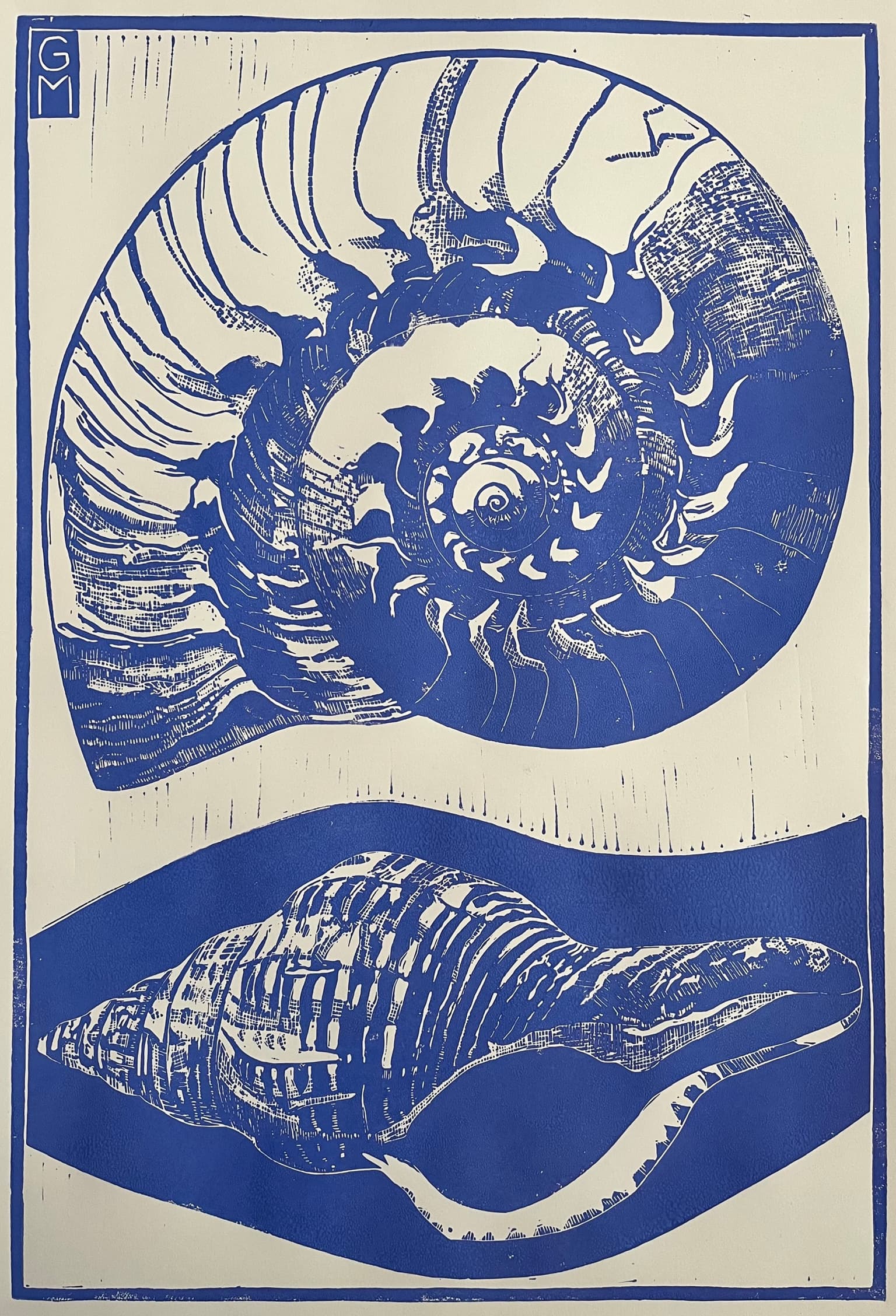 Image for entry 'Spirals'