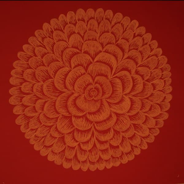 Image for entry 'Fibonacci Flower'
