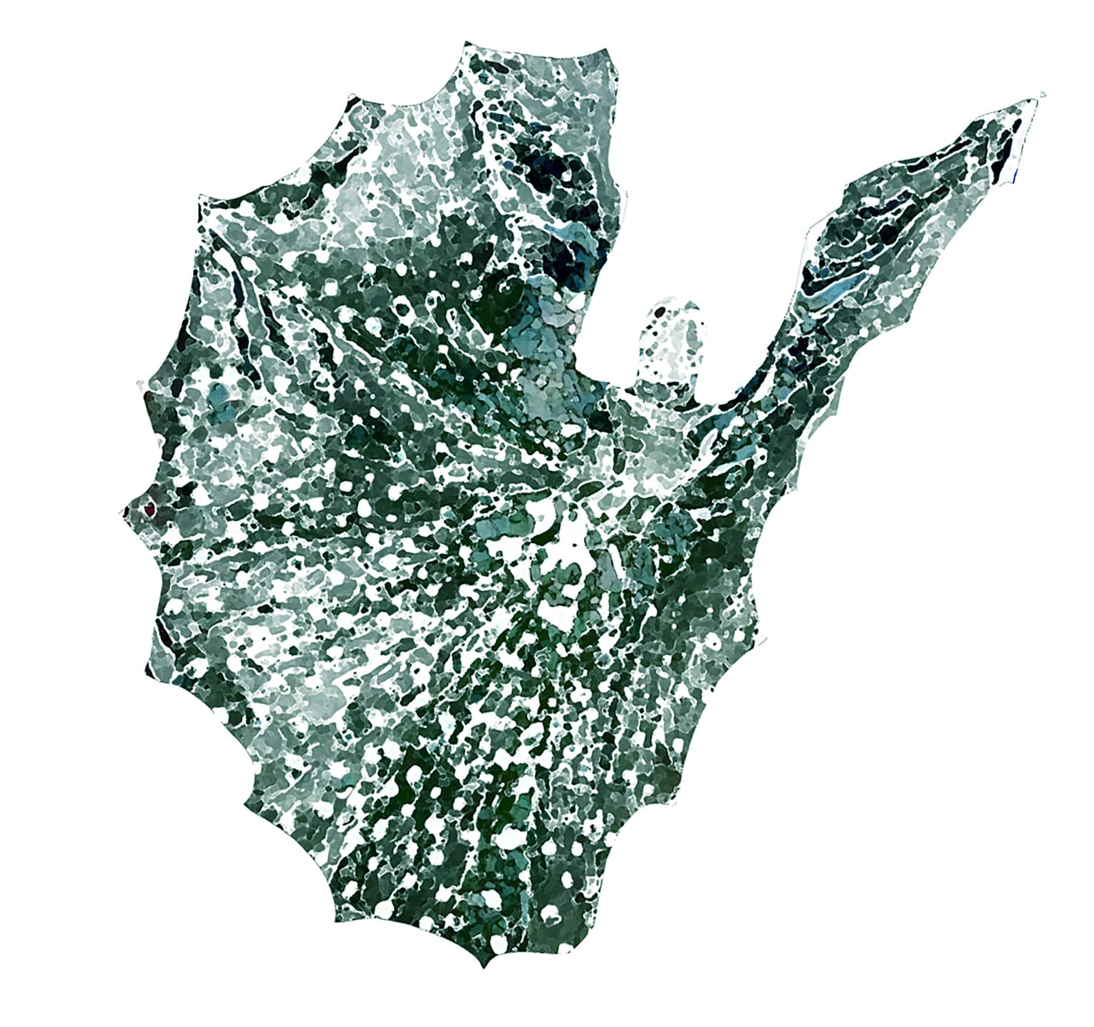Image for look 'Unfolding Polygonal Wings'