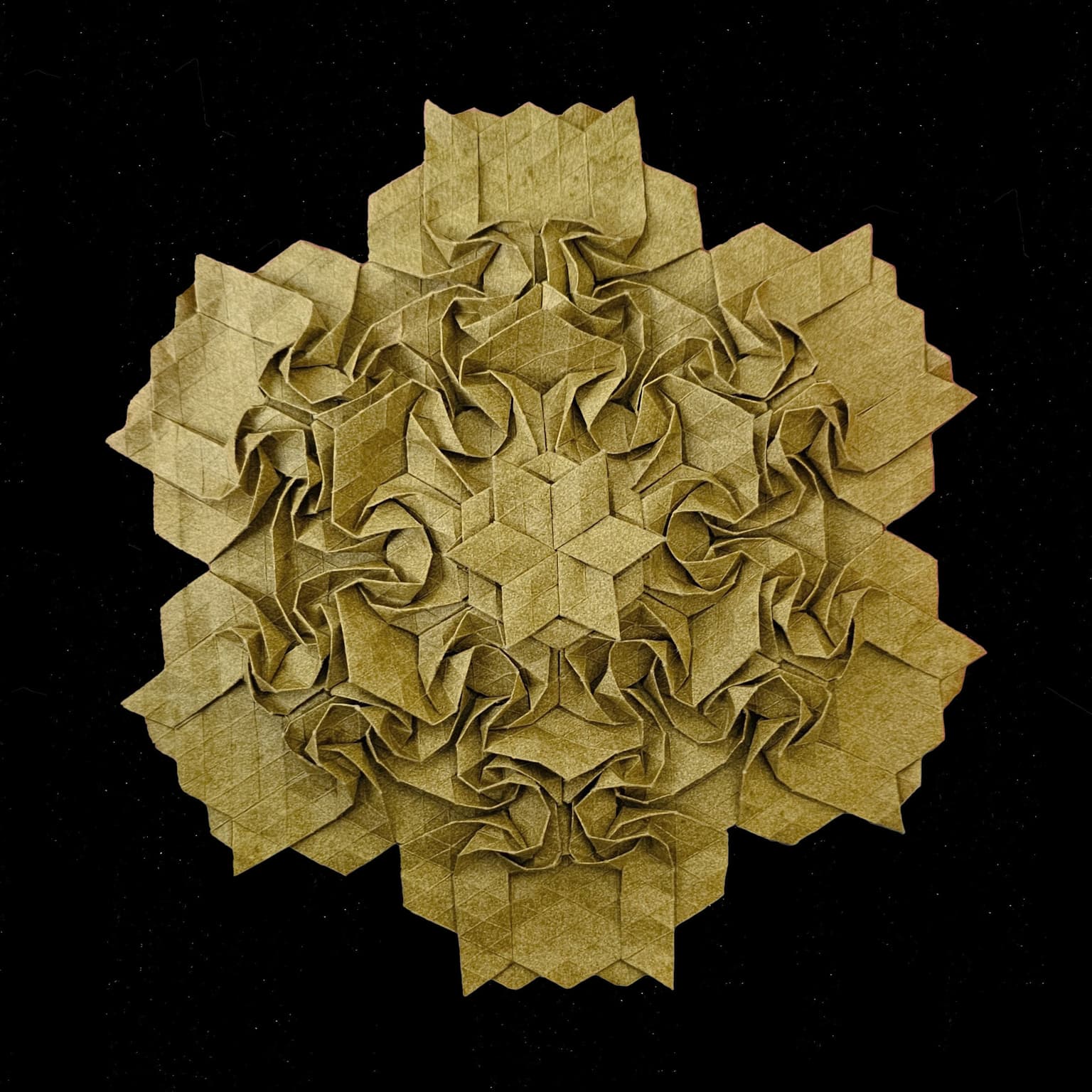 Image for submission 'Aaron Cho'