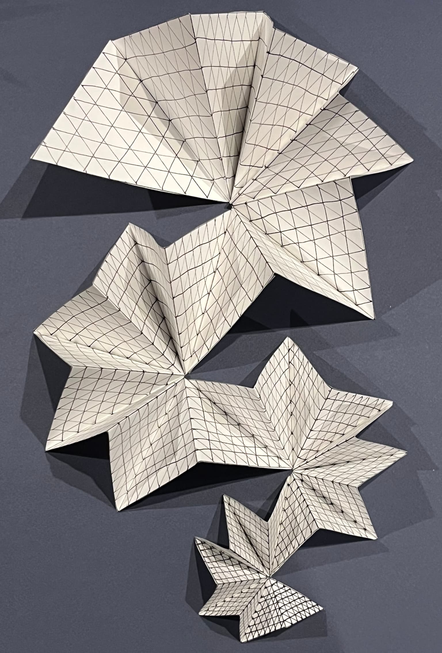 Image for entry 'Spiral Mountain Net'