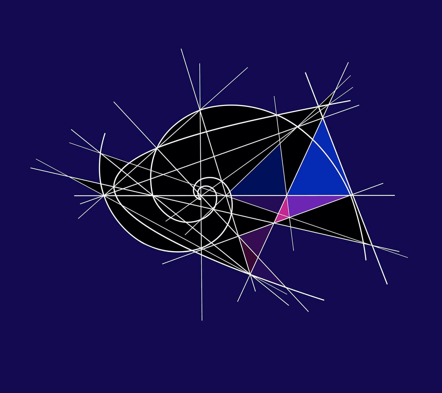 Image for entry 'Caustic. Equal Spiral Curve'