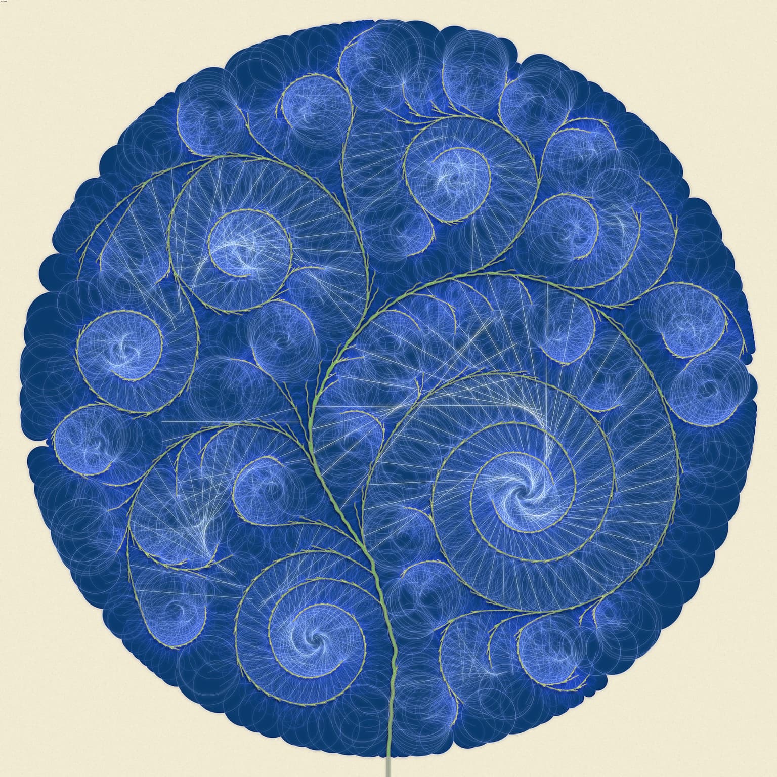 Image for submission 'Jeffrey Ventrella'