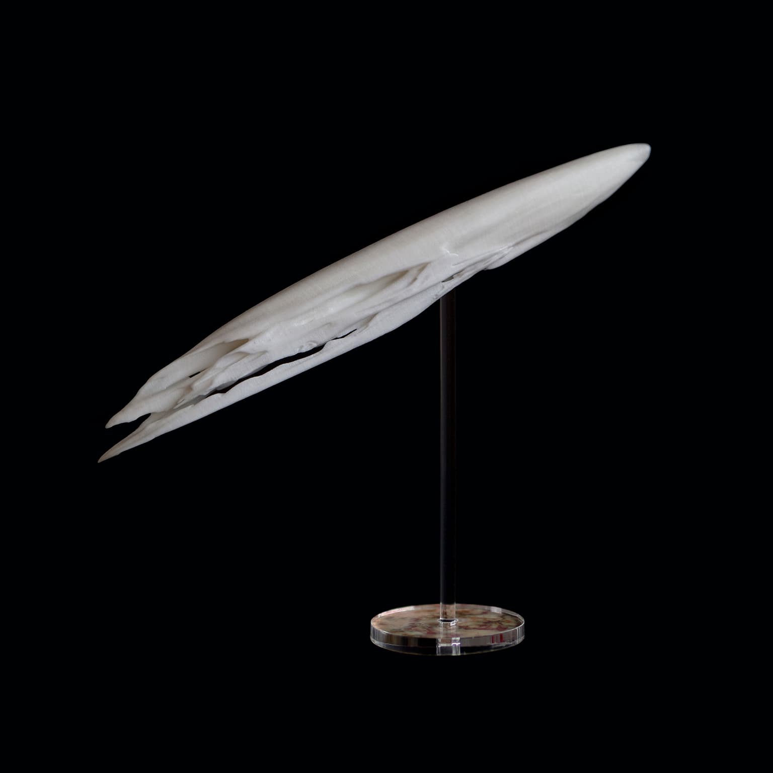 Image for submission 'Andy McCafferty'