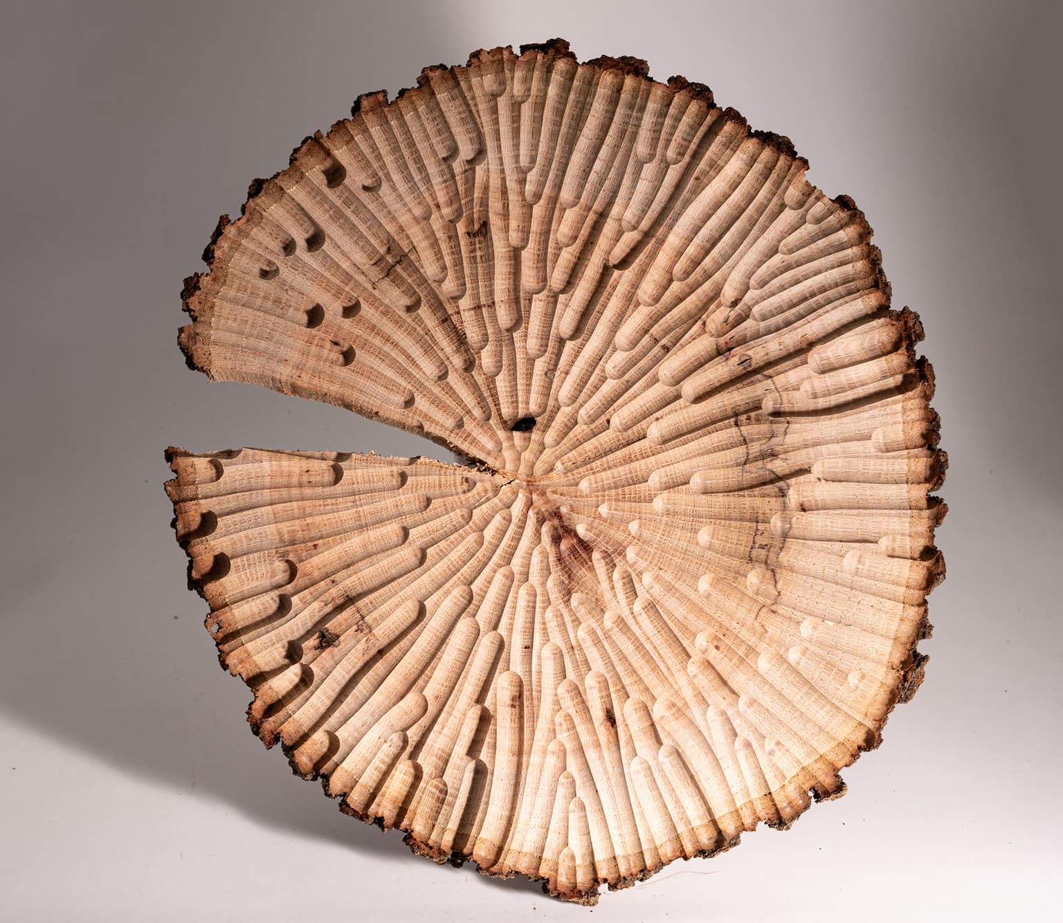 Image for submission 'Edmund Harriss'