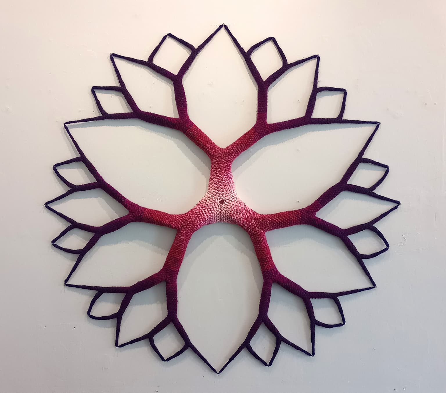 Image for entry 'Rhizome'