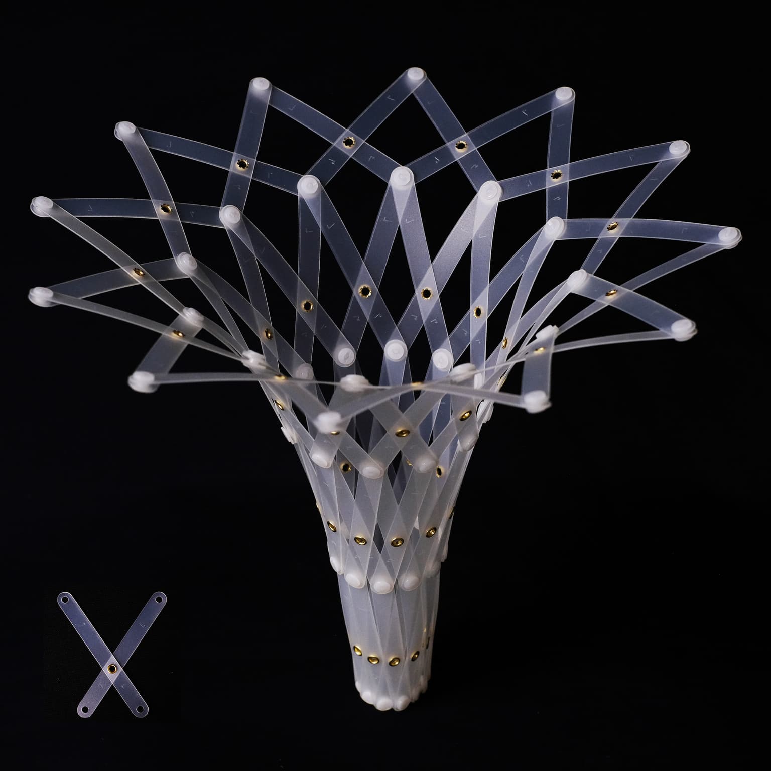 Image for submission 'Seri Nishimoto'