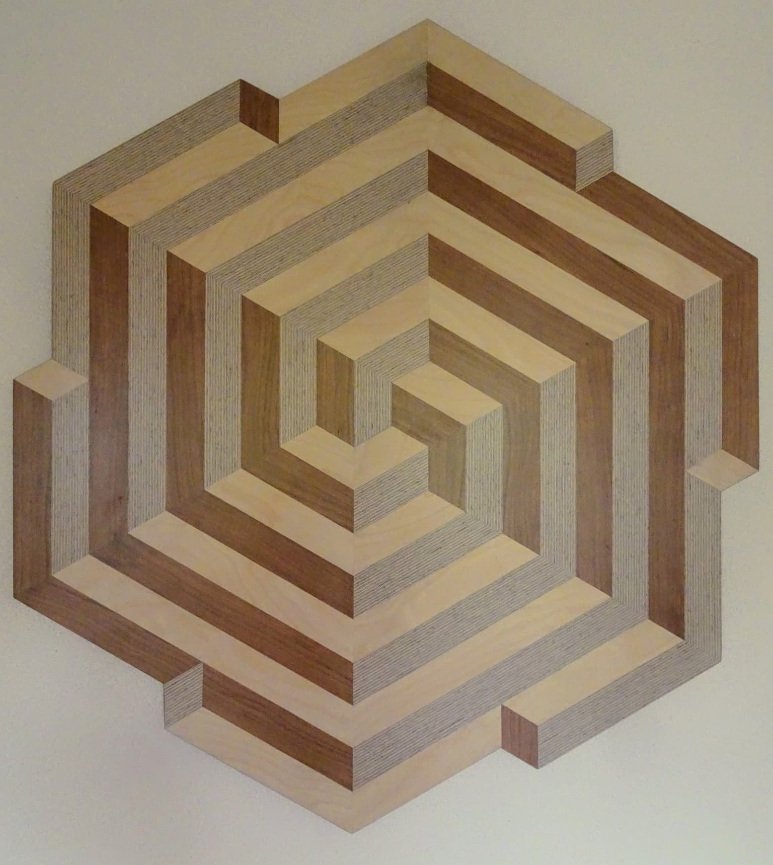 Image for submission 'Hanneke Rijks'