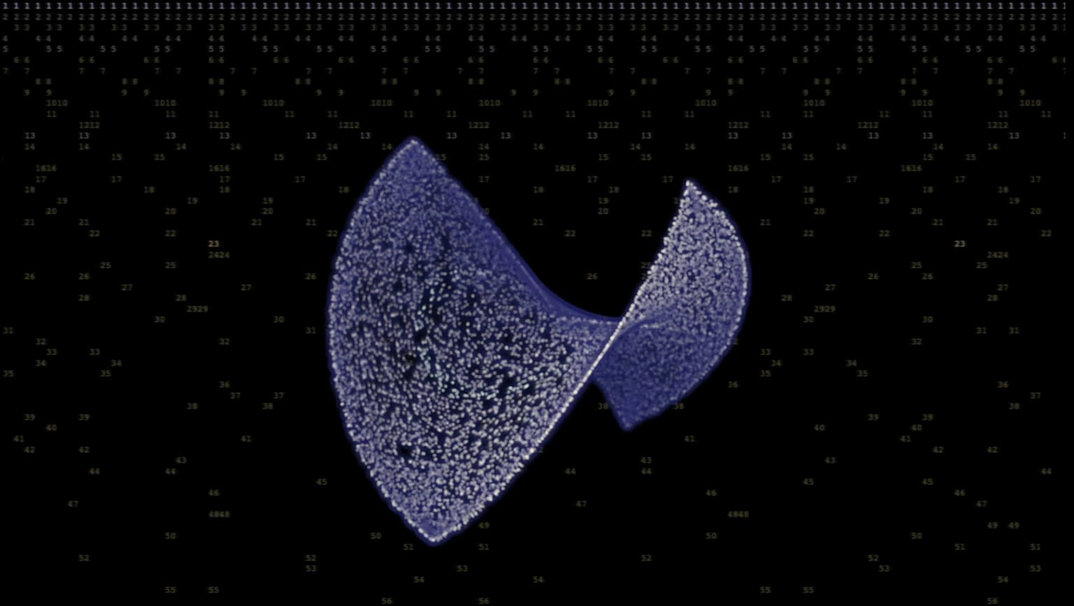 Image for entry 'Earth Day 2025'