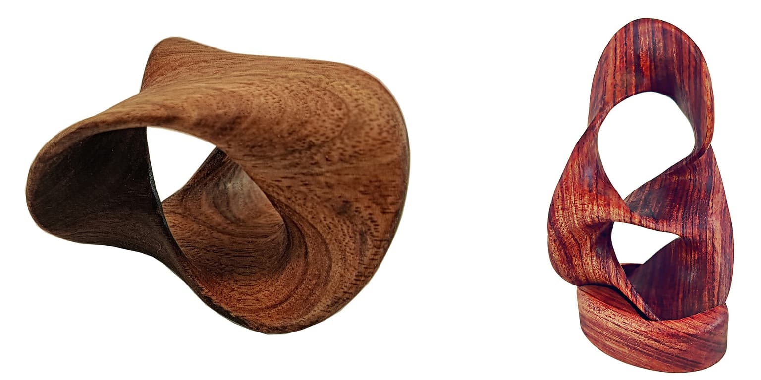 Image for entry 'Seifert Surfaces'