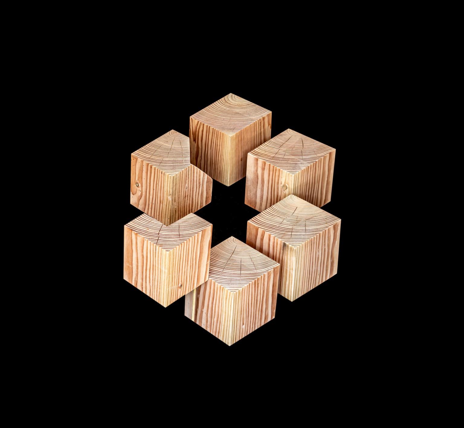 Image for submission 'Willem van Dam'