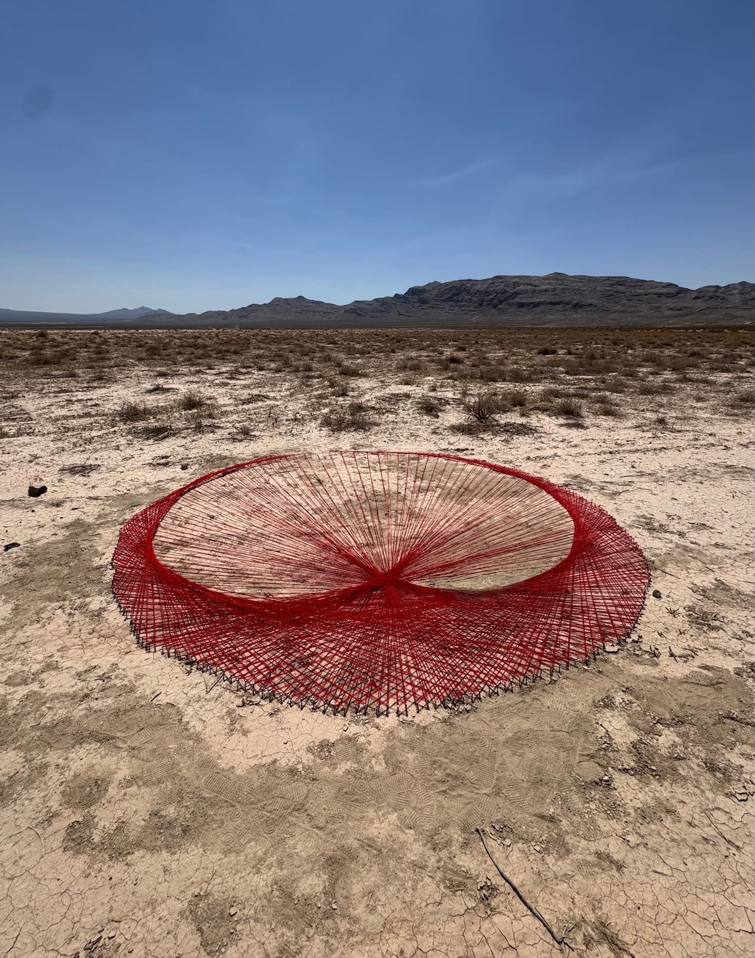 Image for submission 'Addison Stanton'