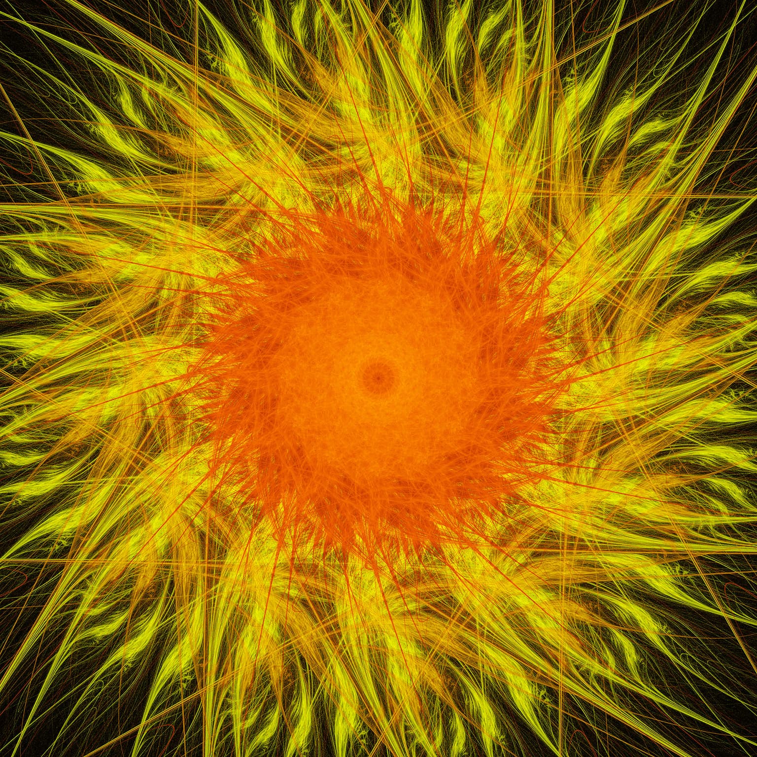 Image for entry 'Sunflower'