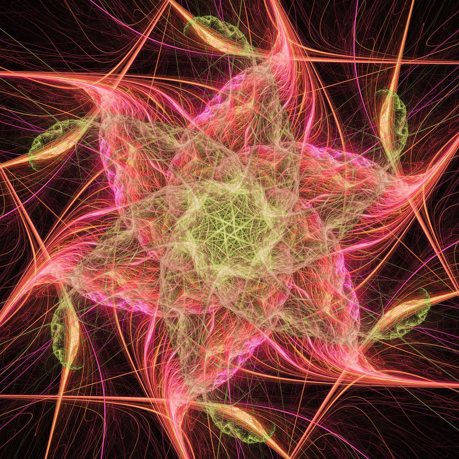 Image for entry 'Neon Flower'