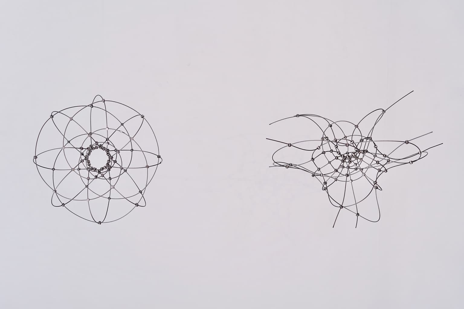 Image for entry 'Wire Construction of the Costa Surface and a Torus'