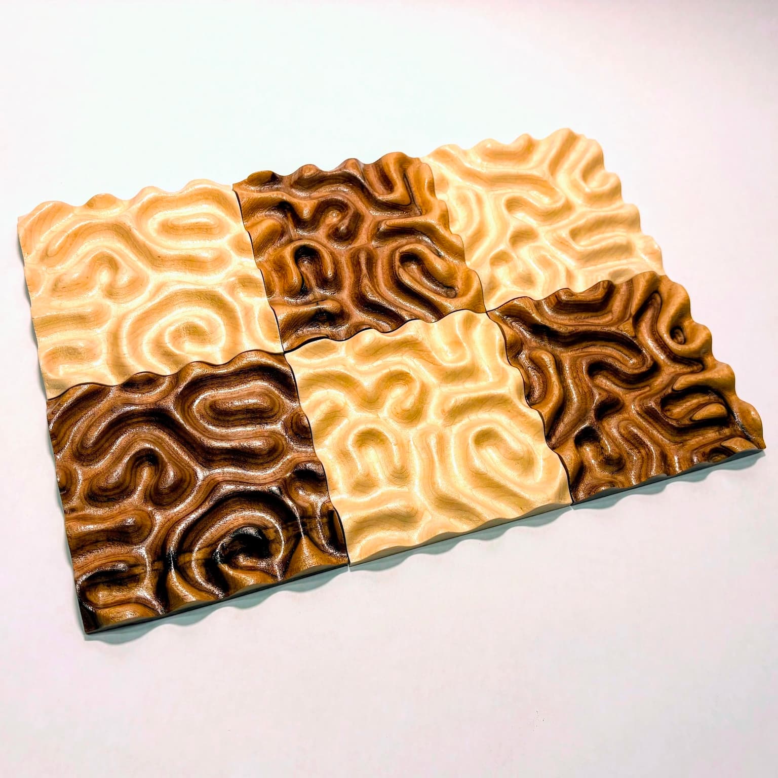 Image for submission 'Matt Zucker'