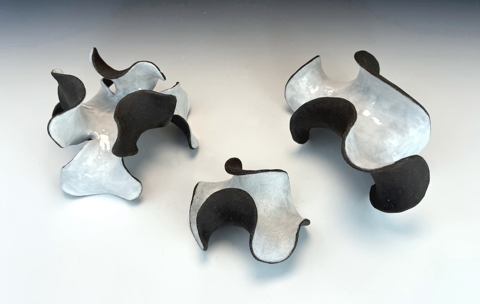 Image for entry 'Three Two-toned Negative Curvature Surfaces'