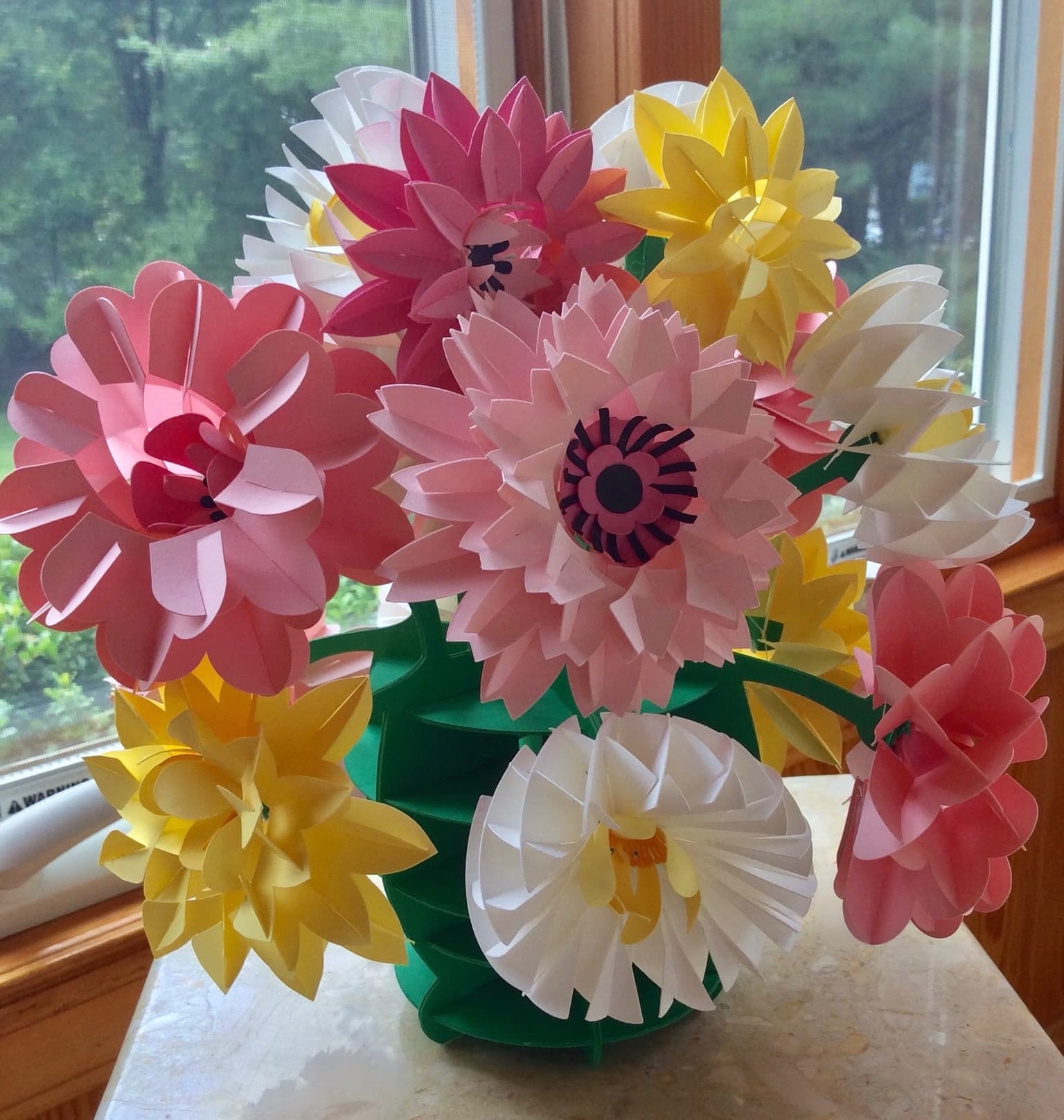 Image for submission 'Elaine Wolfe'