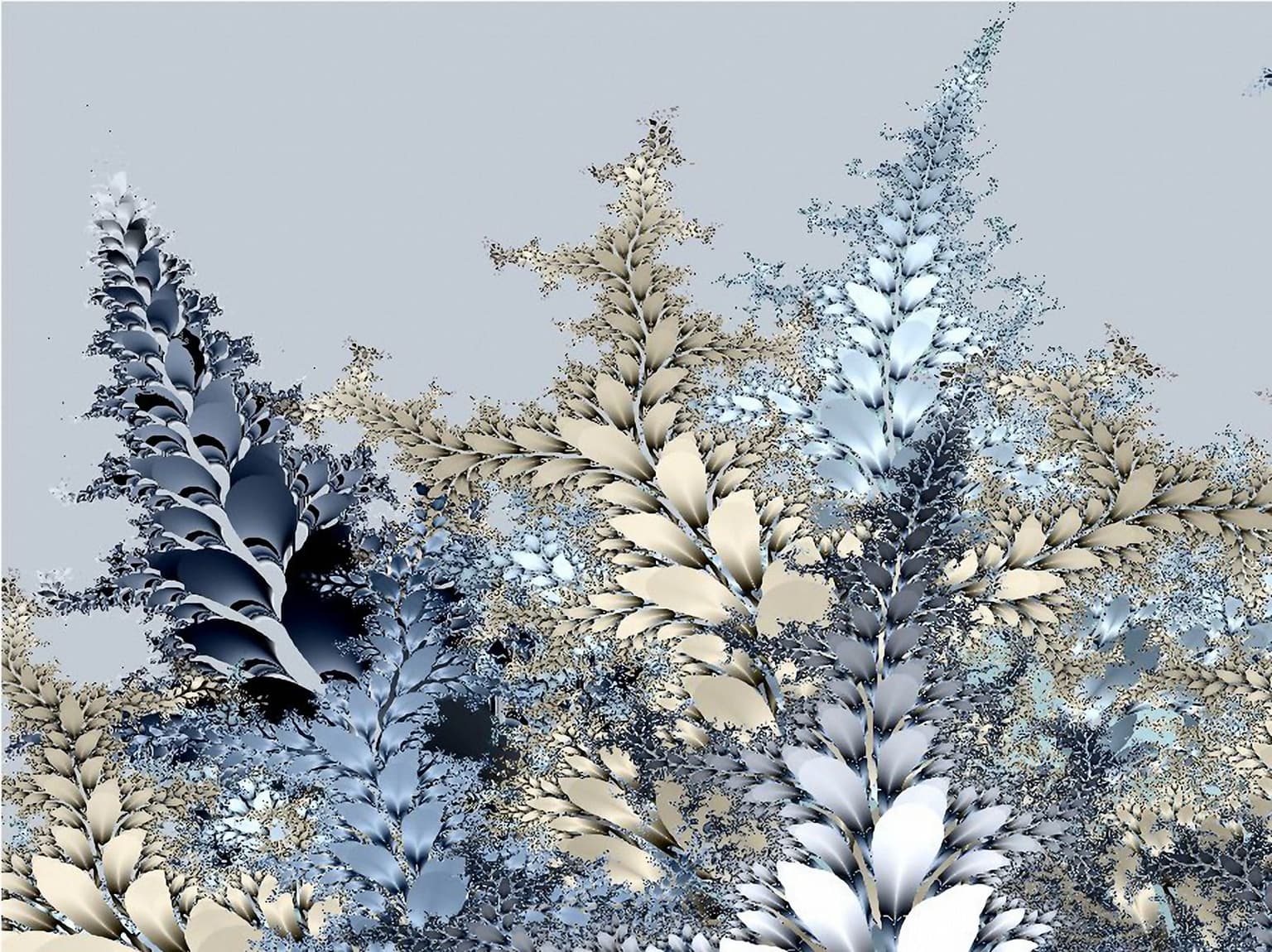 Image for entry 'winter view'