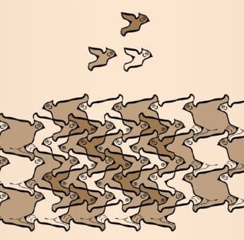 Image for submission 'Aiman Soliman'