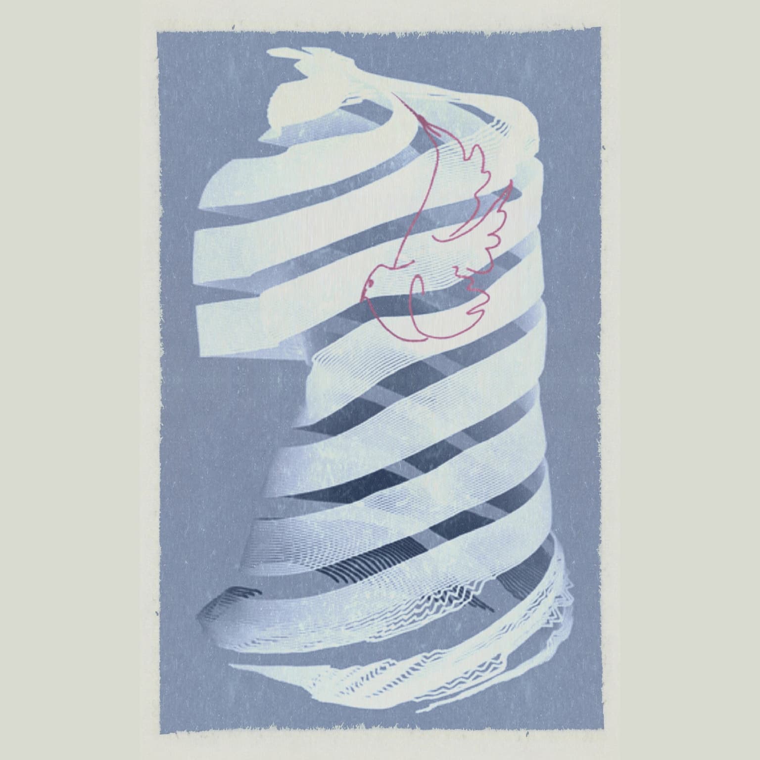 Image for submission 'Douglas Dwyer'